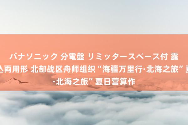 パナソニック 分電盤 リミッタースペース付 露出・半埋込両用形 北部战区舟师组织“海疆万里行·北海之旅”夏日营算作