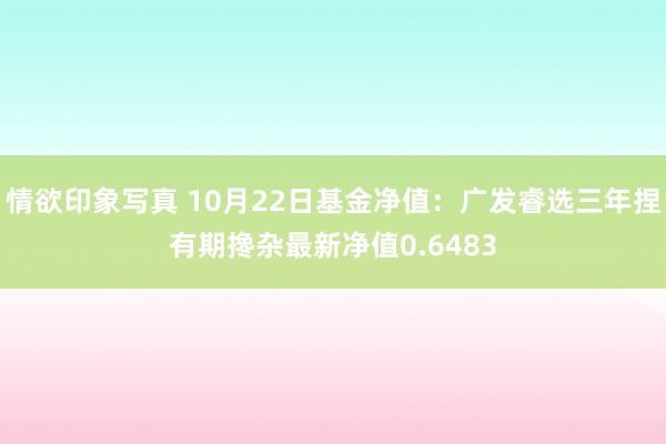 情欲印象写真 10月22日基金净值：广发睿选三年捏有期搀杂最新净值0.6483