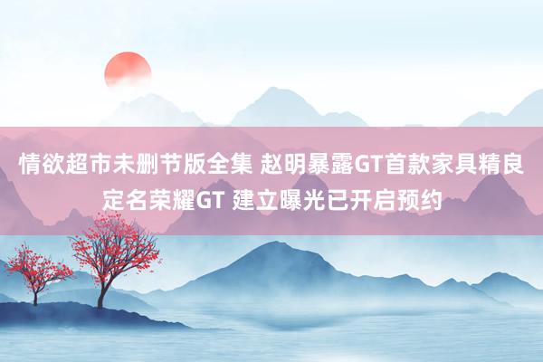 情欲超市未删节版全集 赵明暴露GT首款家具精良定名荣耀GT 建立曝光已开启预约