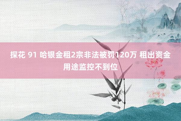 探花 91 哈银金租2宗非法被罚120万 租出资金用途监控不到位