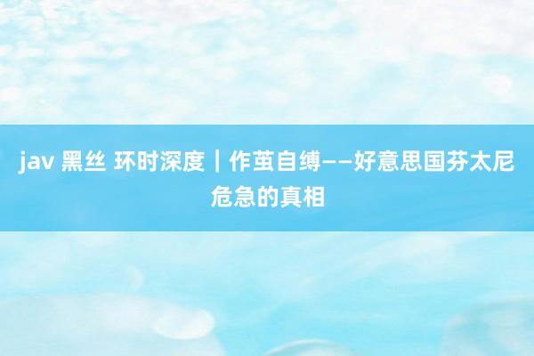 jav 黑丝 环时深度｜作茧自缚——好意思国芬太尼危急的真相