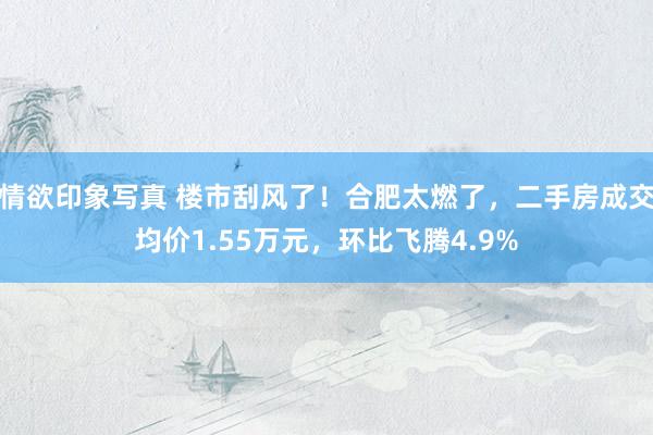 情欲印象写真 楼市刮风了！合肥太燃了，二手房成交均价1.55万元，环比飞腾4.9%