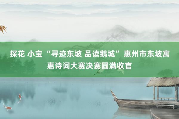 探花 小宝 “寻迹东坡 品读鹅城” 惠州市东坡寓惠诗词大赛决赛圆满收官