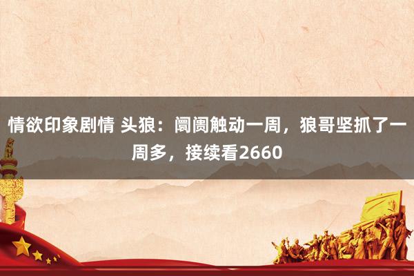 情欲印象剧情 头狼：阛阓触动一周，狼哥坚抓了一周多，接续看2660