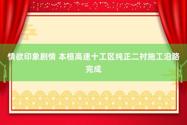 情欲印象剧情 本桓高速十工区纯正二衬施工沿路完成