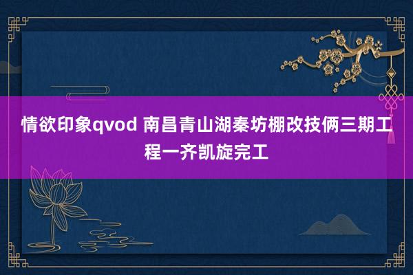 情欲印象qvod 南昌青山湖秦坊棚改技俩三期工程一齐凯旋完工