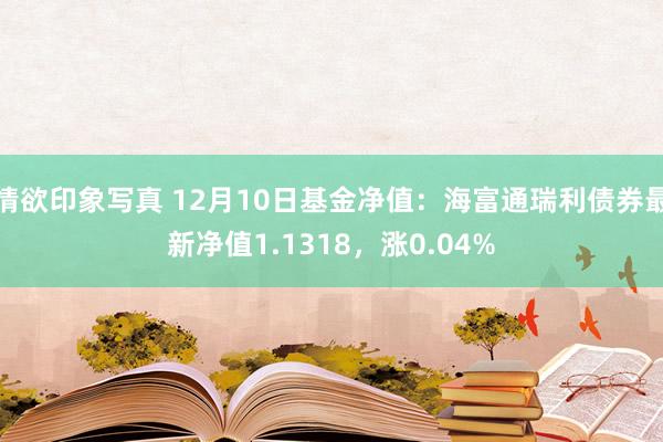 情欲印象写真 12月10日基金净值：海富通瑞利债券最新净值1.1318，涨0.04%