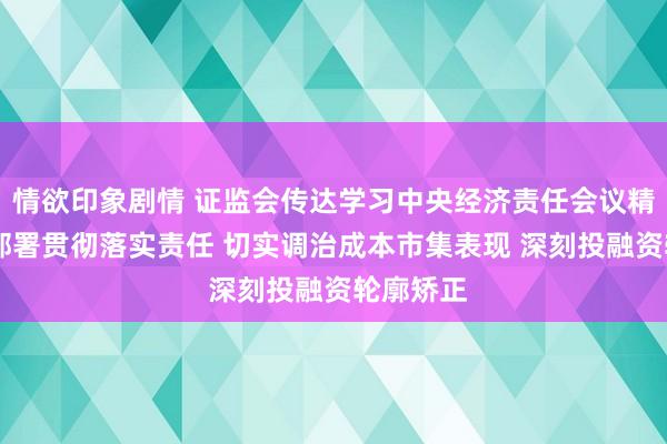 情欲印象剧情 证监会传达学习中央经济责任会议精神 盘问部署贯彻落实责任 切实调治成本市集表现 深刻投融资轮廓矫正