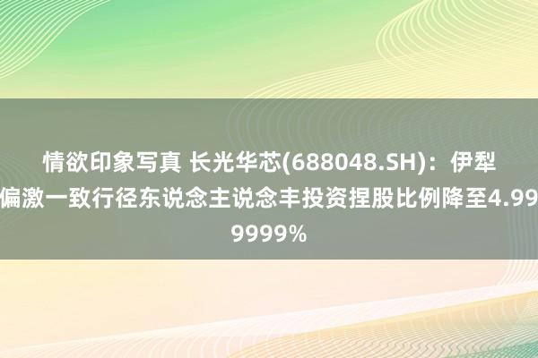 情欲印象写真 长光华芯(688048.SH)：伊犁苏新偏激一致行径东说念主说念丰投资捏股比例降至4.9999%
