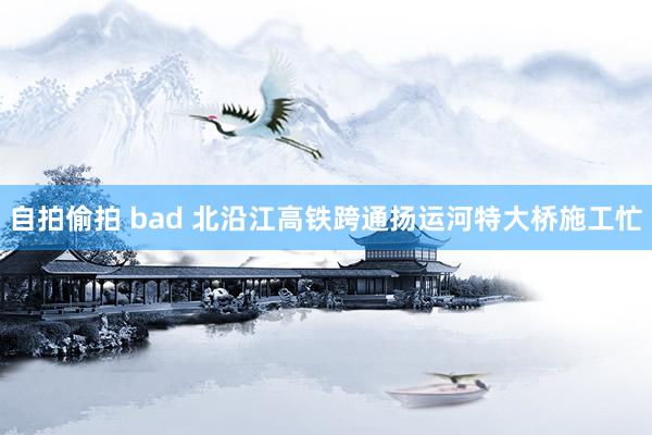 自拍偷拍 bad 北沿江高铁跨通扬运河特大桥施工忙