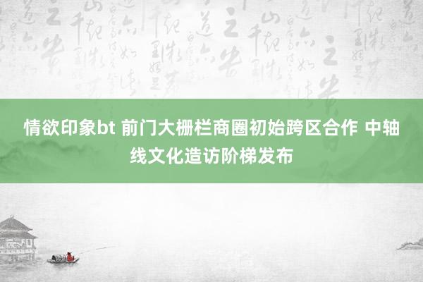 情欲印象bt 前门大栅栏商圈初始跨区合作 中轴线文化造访阶梯发布
