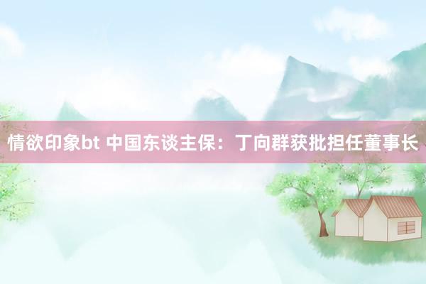 情欲印象bt 中国东谈主保：丁向群获批担任董事长