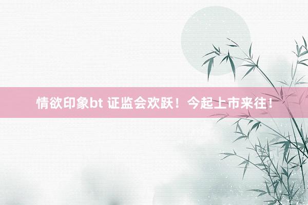 情欲印象bt 证监会欢跃！今起上市来往！