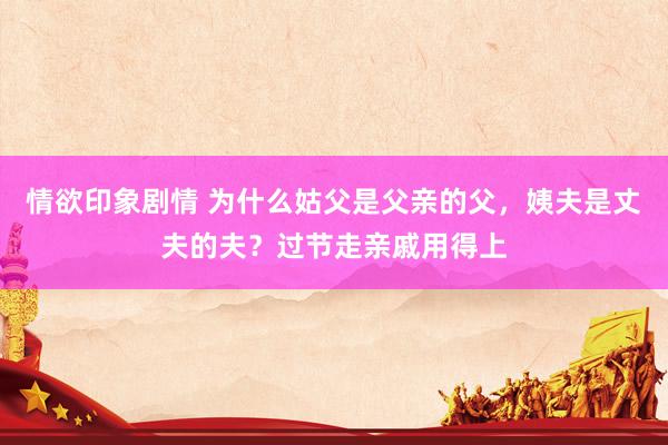 情欲印象剧情 为什么姑父是父亲的父，姨夫是丈夫的夫？过节走亲戚用得上