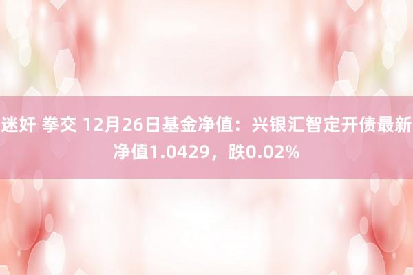迷奸 拳交 12月26日基金净值：兴银汇智定开债最新净值1.0429，跌0.02%
