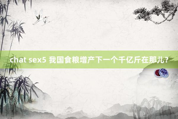 chat sex5 我国食粮增产下一个千亿斤在那儿？
