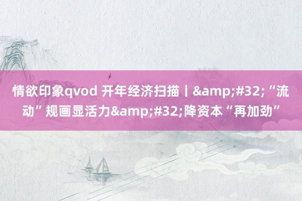 情欲印象qvod 开年经济扫描丨&#32;“流动”规画显活力&#32;降资本“再加劲”