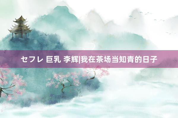 セフレ 巨乳 李辉|我在茶场当知青的日子