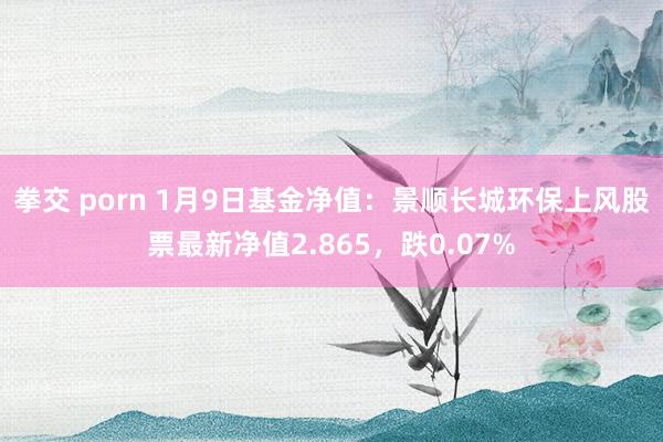 拳交 porn 1月9日基金净值：景顺长城环保上风股票最新净值2.865，跌0.07%