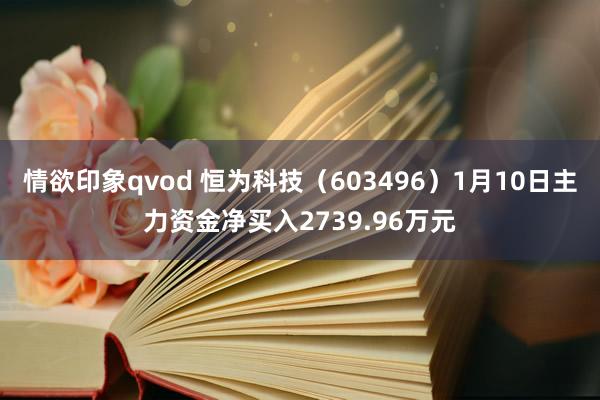 情欲印象qvod 恒为科技（603496）1月10日主力资金净买入2739.96万元