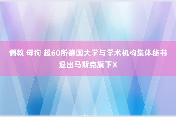 调教 母狗 超60所德国大学与学术机构集体秘书退出马斯克旗下X