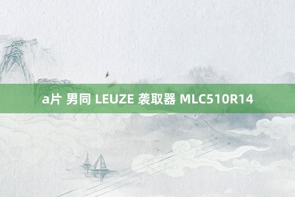 a片 男同 LEUZE 袭取器 MLC510R14