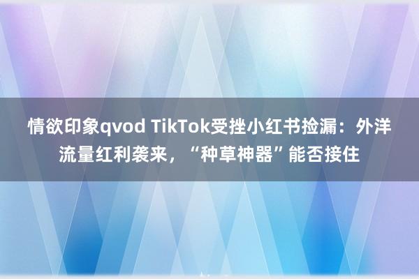 情欲印象qvod TikTok受挫小红书捡漏：外洋流量红利袭来，“种草神器”能否接住