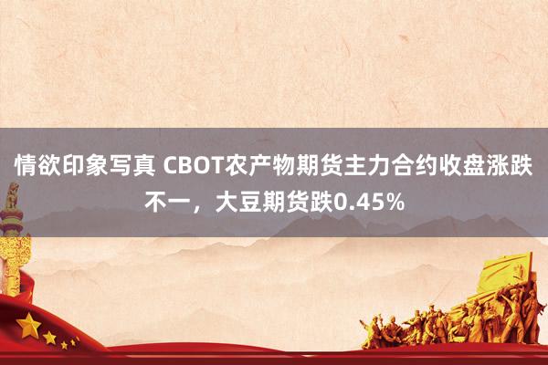 情欲印象写真 CBOT农产物期货主力合约收盘涨跌不一，大豆期货跌0.45%