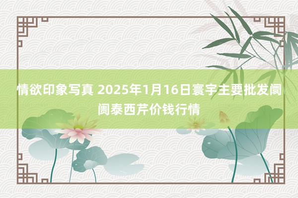 情欲印象写真 2025年1月16日寰宇主要批发阛阓泰西芹价钱行情