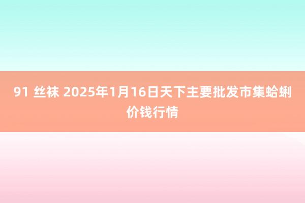 91 丝袜 2025年1月16日天下主要批发市集蛤蜊价钱行情