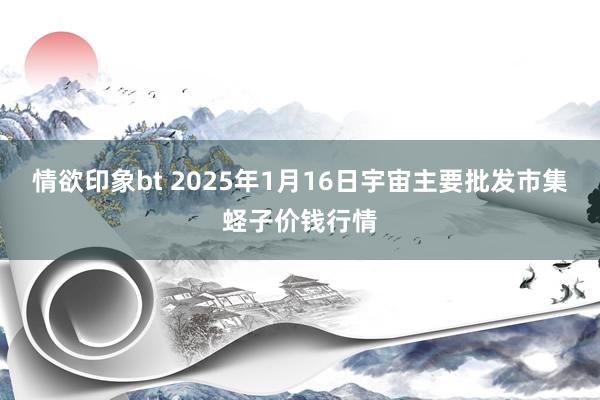 情欲印象bt 2025年1月16日宇宙主要批发市集蛏子价钱行情