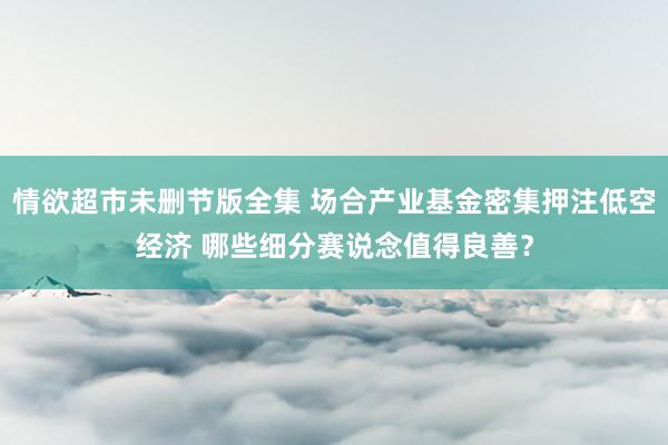 情欲超市未删节版全集 场合产业基金密集押注低空经济 哪些细分赛说念值得良善？
