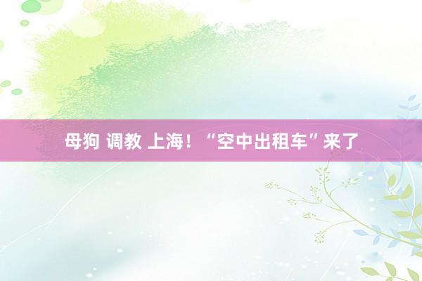 母狗 调教 上海！“空中出租车”来了