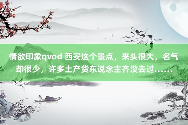 情欲印象qvod 西安这个景点，来头很大，名气却很少，许多土产货东说念主齐没去过……