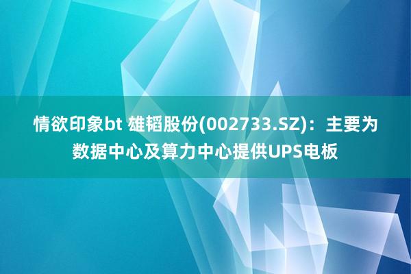情欲印象bt 雄韬股份(002733.SZ)：主要为数据中心及算力中心提供UPS电板