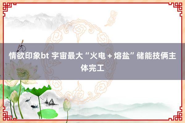 情欲印象bt 宇宙最大“火电＋熔盐”储能技俩主体完工