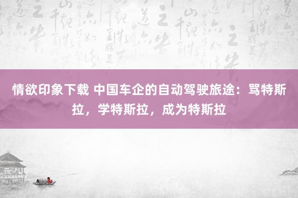 情欲印象下载 中国车企的自动驾驶旅途：骂特斯拉，学特斯拉，成为特斯拉