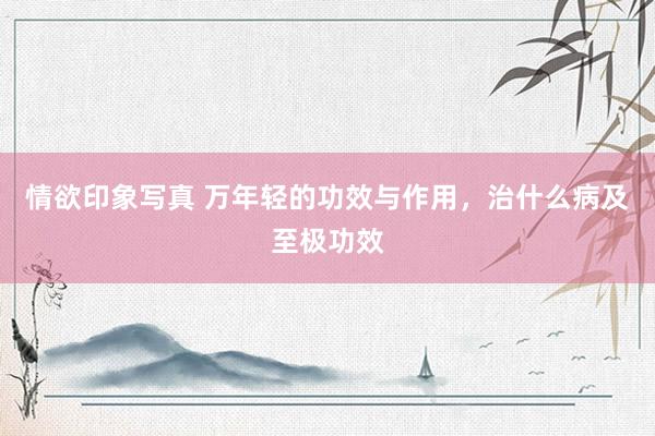 情欲印象写真 万年轻的功效与作用，治什么病及至极功效
