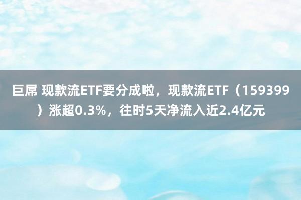 巨屌 现款流ETF要分成啦，现款流ETF（159399）涨超0.3%，往时5天净流入近2.4亿元