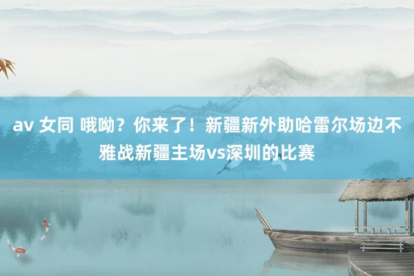 av 女同 哦呦？你来了！新疆新外助哈雷尔场边不雅战新疆主场vs深圳的比赛