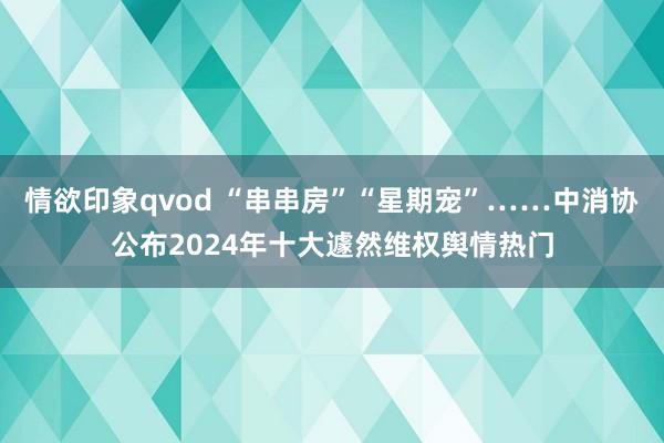 情欲印象qvod “串串房”“星期宠”……中消协公布2024年十大遽然维权舆情热门
