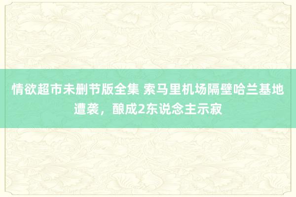 情欲超市未删节版全集 索马里机场隔壁哈兰基地遭袭，酿成2东说念主示寂