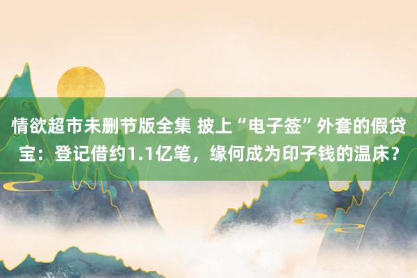 情欲超市未删节版全集 披上“电子签”外套的假贷宝：登记借约1.1亿笔，缘何成为印子钱的温床？