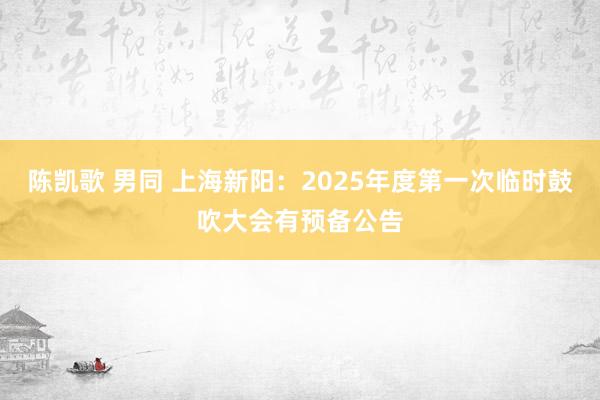 陈凯歌 男同 上海新阳：2025年度第一次临时鼓吹大会有预备公告