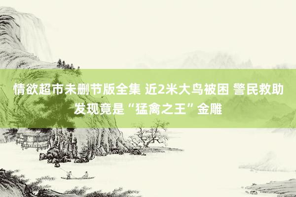 情欲超市未删节版全集 近2米大鸟被困 警民救助发现竟是“猛禽之王”金雕