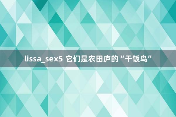 lissa_sex5 它们是农田庐的“干饭鸟”