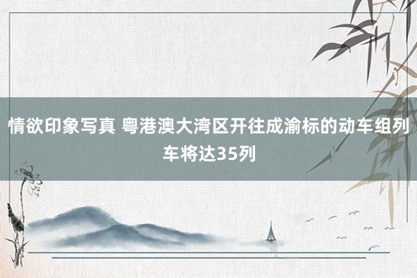 情欲印象写真 粤港澳大湾区开往成渝标的动车组列车将达35列