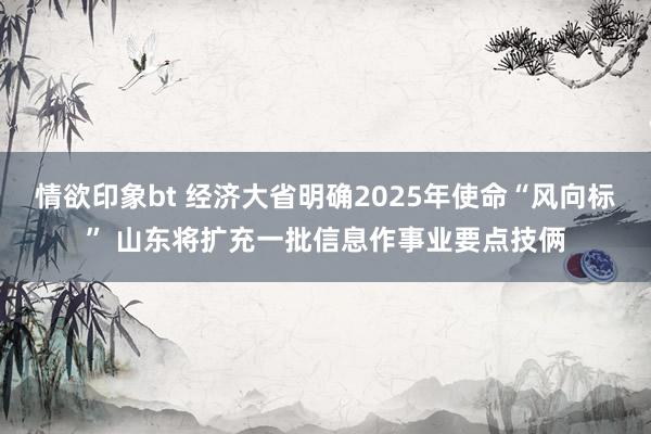 情欲印象bt 经济大省明确2025年使命“风向标” 山东将扩充一批信息作事业要点技俩