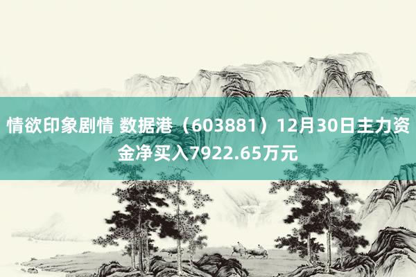 情欲印象剧情 数据港（603881）12月30日主力资金净买入7922.65万元