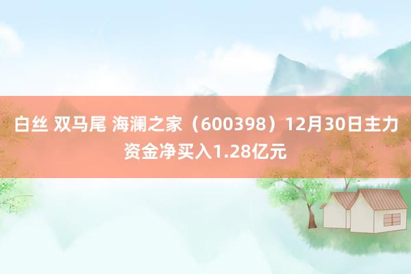 白丝 双马尾 海澜之家（600398）12月30日主力资金净买入1.28亿元